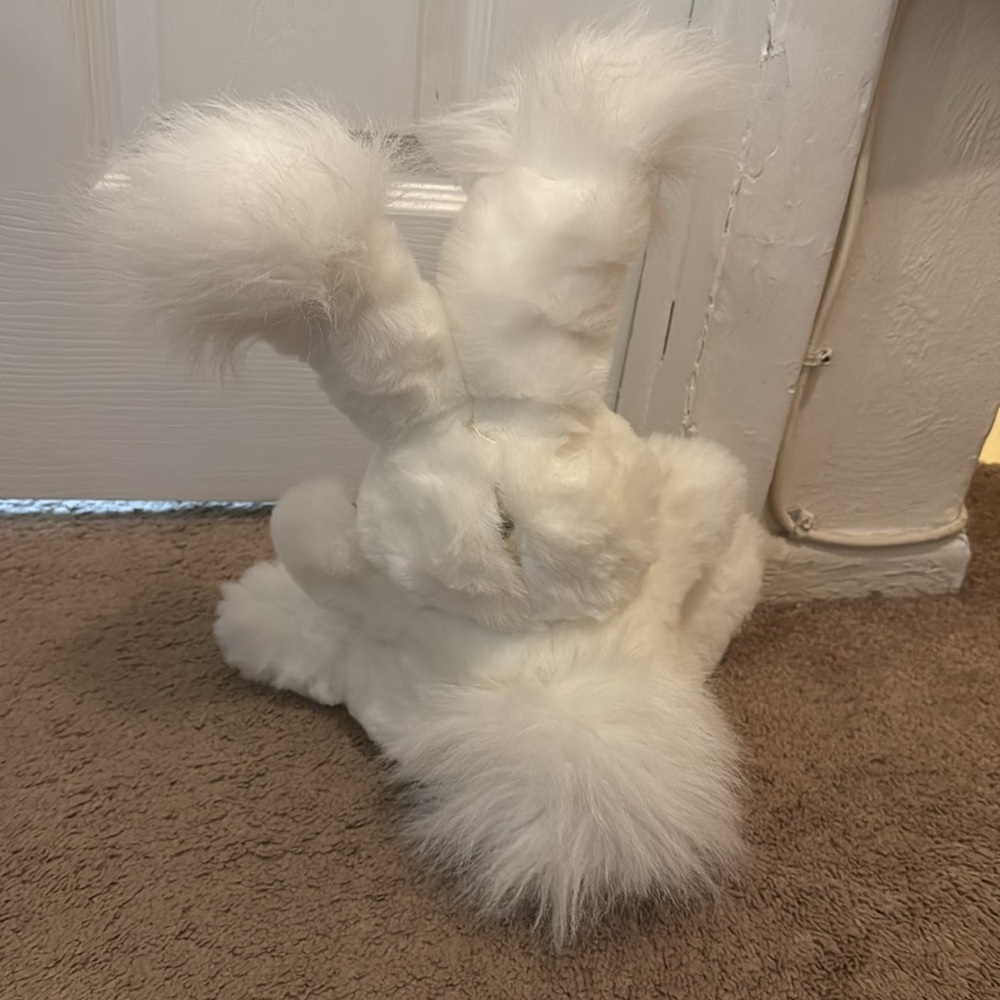 Bunny plush - Picture 4 of 4
